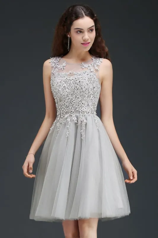 Chic Crew Neck Lace Tulle Short Homecoming Dress Sleeveless Appliques Mini Party Dress