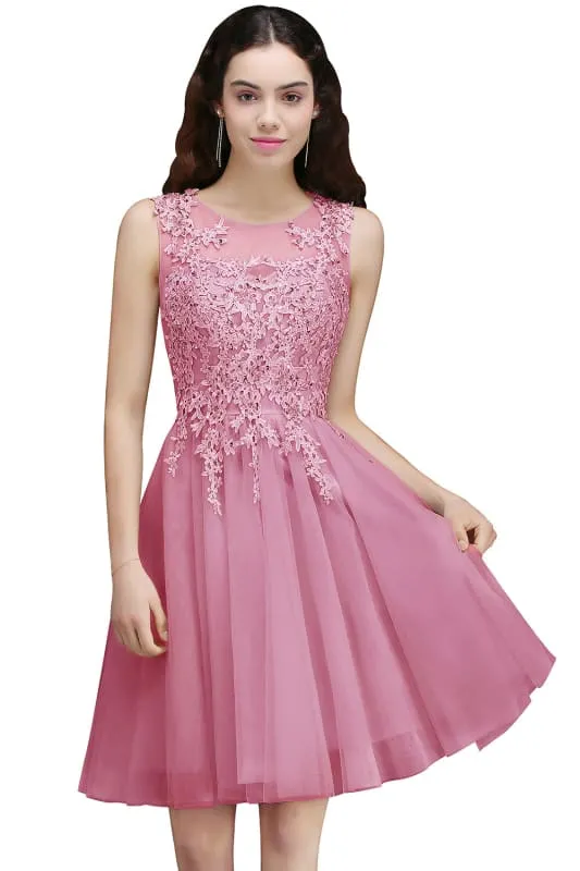 Chic Crew Neck Lace Tulle Short Homecoming Dress Sleeveless Appliques Mini Party Dress
