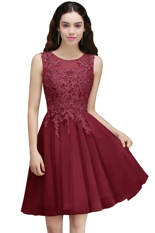 Chic Crew Neck Lace Tulle Short Homecoming Dress Sleeveless Appliques Mini Party Dress